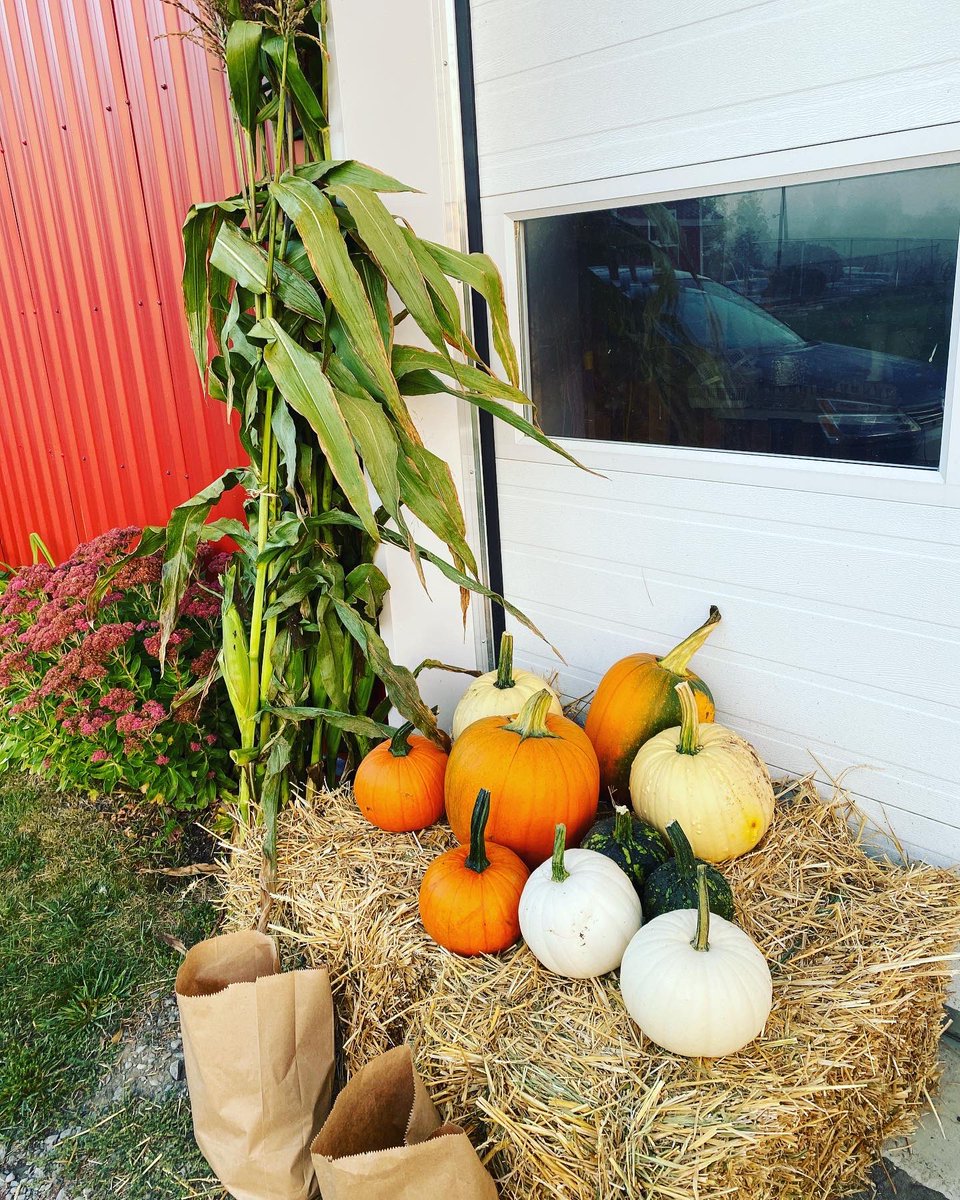 IRsweetcorn's tweet photo. Deluxe and Elegant decoration packages are ready for our orders today! Have you ordered yours yet? Packages are available in 3 sizes. Send a DM or order and pay from our online farm shop: https://t.co/vUSgY7jBll
#falldecor #falldecorations #fallishere #fallcolors #fallcolours https://t.co/uhkzMA9xcW