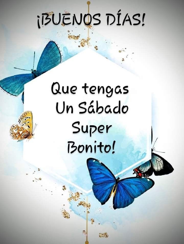 <a href="/macasaga2/">M.Carmen 💛🤗🍀</a> <a href="/Mariska__6/">Mariska 😎🤍🍀</a> <a href="/macasaga1/">MªCarmen 🫂⚖️🥰</a> <a href="/Iria_Celta/">Iria🌸</a> <a href="/DylaneAzul/">Dylane</a> <a href="/AlexandraEsAzul/">Alexandra</a> <a href="/Madeira_32/">Mirya</a> <a href="/Nonil1234567/">Sweet669</a> <a href="/Guagua333344/">yayo123</a> <a href="/Mari777Bel/">MARIBEL 🦋🦋☘️🦋🦋</a> <a href="/Cloe_bailarina/">CLOE</a> <a href="/Flor33180171/">Flor</a> @Mar2Manuel @IslaFantasia222 <a href="/Chacho66666/">Manolito</a> <a href="/Marimar66842849/">Marimar</a> @Rufo_piloto <a href="/tuneadora432/">Santa Paciencia</a> <a href="/betusca9/">betusca971</a> <a href="/arancha2458/">Arancha</a> <a href="/mcg_mlg/">Maria del Carmen Gomez Miranda</a> <a href="/AnaMemi29/">Any Marea Azul 💙💙💙🌊🌊🌊</a> <a href="/Teresa84977979/">Teresa</a> <a href="/Luisa43833694/">EN💙CONTRA💦DE💙LAS💦INJUSTICIAS</a> <a href="/NT83631763/">N. T</a> @Manuel966521491 @_aurora_boreal5 <a href="/KaladanBCN/">💦🌊💙⚖️💦🌊💙⚖️💦🌊💙⚖️</a> <a href="/Rogelia50318250/">Rogelia</a> <a href="/FedoraPayan/">Fedora</a> <a href="/Azul_MAR0050/">A z U l M a R 💫⭐️💫</a> <a href="/AsomadaAlEspejo/">EspejoAzul-Mc💙</a> <a href="/tarapoto3001/">Flor</a> <a href="/Maria69905985/">Maria🥀🌻🌊💙👗</a> <a href="/B79434040/">B</a> <a href="/anmart311/">ana</a> <a href="/elsa09164082/">elsa</a> @Erylea01 <a href="/giannioma/">Julia Domingo</a> @DelRiveroPily9 <a href="/Gloria26326305/">GLORIA 💙</a> <a href="/Marisol75752342/">Mari</a> <a href="/FuerzaMareaAzul/">LaMareaNoSeRinde</a> <a href="/Meredith__Azul/">Meredith Azul</a> @mihaylova_irena <a href="/Fierecilla3001/">Flor</a> <a href="/Marea_Azul24/">Siempre Marea💙💙💙</a> <a href="/elena_antequera/">Ele Antequera</a> <a href="/2653_gladis/">Arre Borriquito💙💙</a> 🌊 #YoMeRebelo30S
#YoMeRebelo1O
✔️ "𝑺𝑰𝑮𝑼𝑬 𝑨𝑫𝑬𝑳𝑨𝑵𝑻𝑬
𝒚 𝒍𝒖𝒄𝒉𝒂 𝒑𝒐𝒓 𝒍𝒐 𝒒𝒖𝒆 𝒒𝒖𝒊𝒆𝒓𝒆𝒔.
𝒀𝒂 𝒍𝒍𝒆𝒈𝒂𝒓𝒂́ 𝒆𝒍 𝒅𝒊́𝒂 𝒒𝒖𝒆 𝒄𝒐𝒎𝒑𝒓𝒆𝒏𝒅𝒆𝒓𝒂́𝒔 𝒒𝒖𝒆 𝒕𝒐𝒅𝒐 𝒆𝒍 𝒔𝒂𝒄𝒓𝒊𝒇𝒊𝒄𝒊𝒐 𝒗𝒂𝒍𝒊𝒐́ 𝒍𝒂 𝒑𝒆𝒏𝒂."