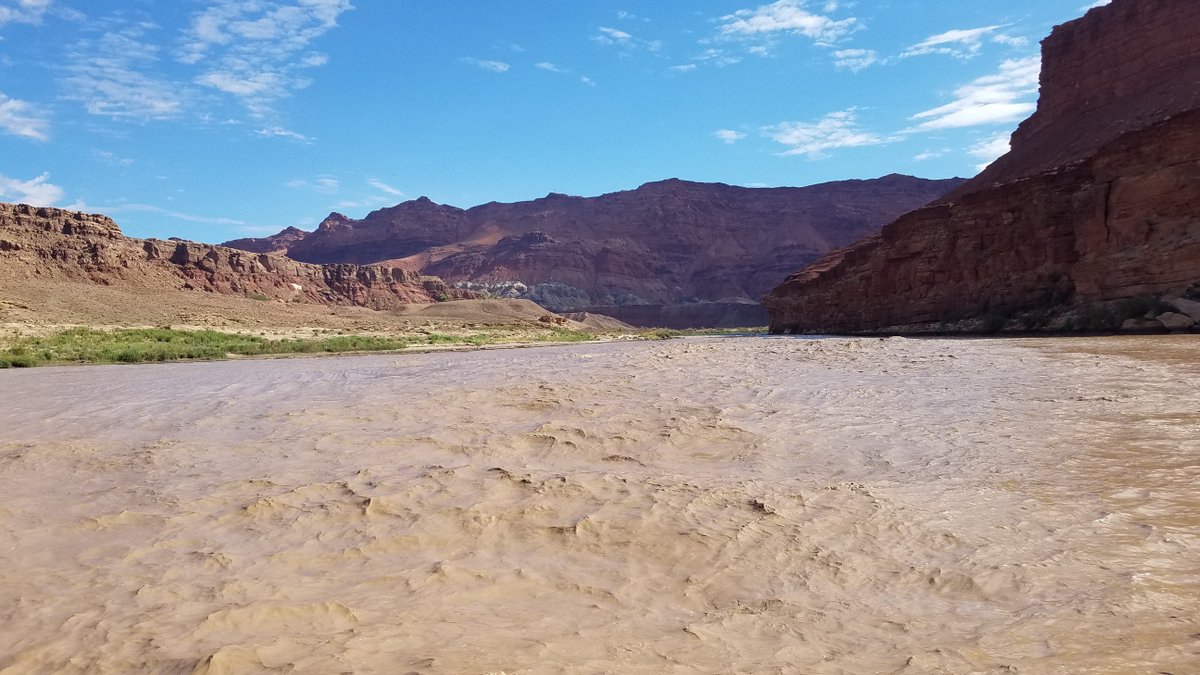USGSAZ's tweet photo. The availability of phosphorus (P) can govern a river's biological production. #USGS_SBSC studied how #GlenCanyonDam releases and sediment from storms may affect P and thus #foodweb production in the #ColoradoRiver.
πhttps://t.co/5VgzPrnaMR
#GrandCanyonScience @JBiogeochem https://t.co/cBzrAeTu4B