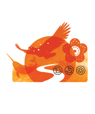 OACCPP's tweet image. September 30 - National Day for Truth and Reconciliation is an opportunity to recognize that this day is only one step in a long journey towards understanding and meaningful reconciliation.  #NDTR and #EveryChildMatters #OrangeShirtDay

ow.ly/Nzr450PQchw