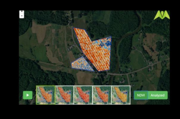 DRONES QUE AYUDAN AL MONITOREO DE PLAGAS, MALEZAS Y ENFERMEDADES EN CULTIVOS
buff.ly/2KouL2A