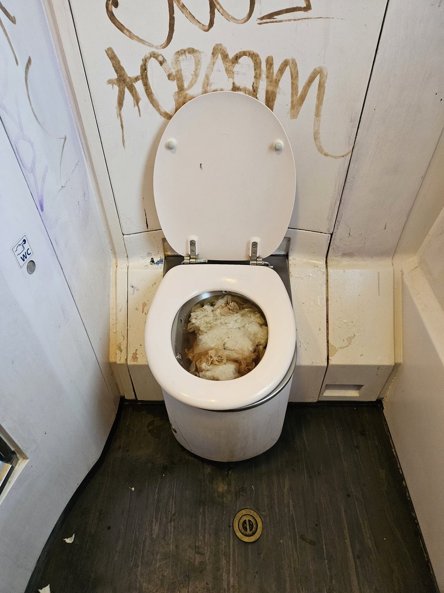 Sita Ziel tweet media