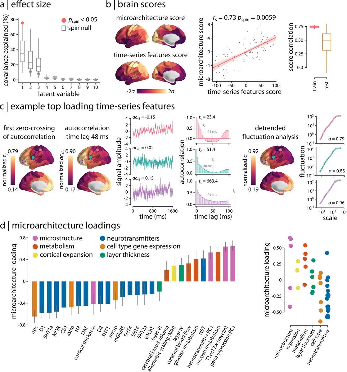 Bratislav Misic (@misicbata) on Twitter photo Neurophysiological signatures of cortical micro-architecture | doi.org/10.1038/s41467…
How does neurophysiological activity map onto cortical micro-architecture?
The Dream Team (<a href="/goliashf/">Golia Shafiei</a> <a href="/bendfulcher/">Ben Fulcher</a> Brad Voytek <a href="/sattertt/">Ted Satterthwaite</a> <a href="/sylvain_baillet/">Sylvain Baillet 🕊️</a>) investigates ⤵️ Neurophysiological signatures of cortical micro-architecture | doi.org/10.1038/s41467…
How does neurophysiological activity map onto cortical micro-architecture?
The Dream Team (<a href="/goliashf/">Golia Shafiei</a> <a href="/bendfulcher/">Ben Fulcher</a> Brad Voytek <a href="/sattertt/">Ted Satterthwaite</a> <a href="/sylvain_baillet/">Sylvain Baillet 🕊️</a>) investigates ⤵️