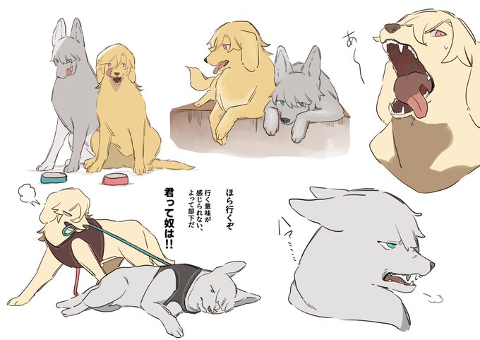 犬🏛🌱詰め 