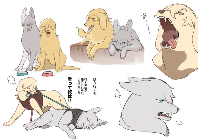 犬🏛🌱詰め 