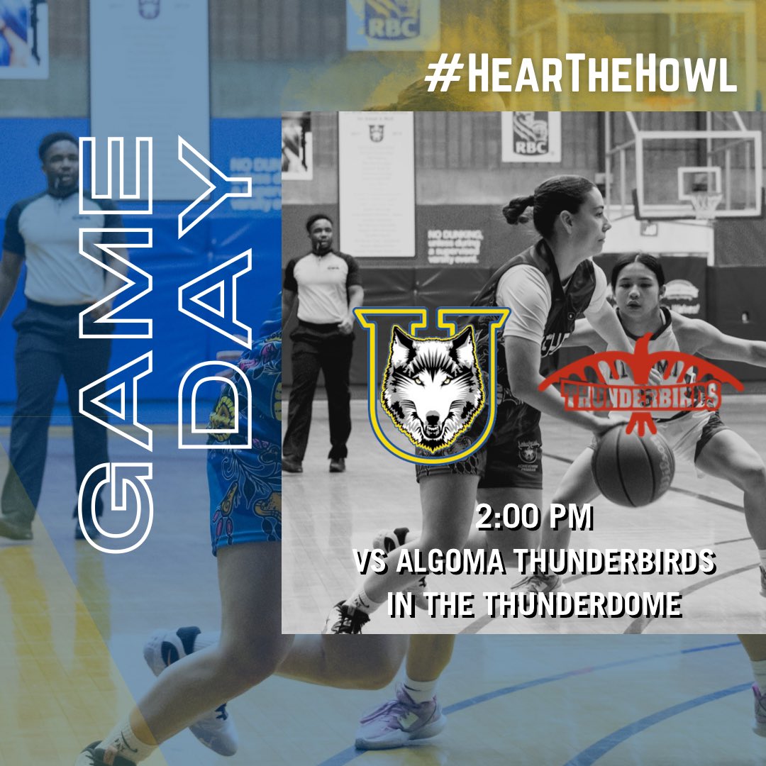 Lakehead Athletics tweet media