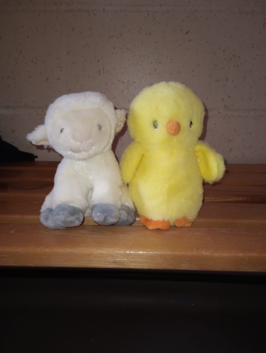 bhcjunior's tweet photo. @BasingstokeHC meet lamb of the day and duck of the day our Ladies  6XI mascots https://t.co/69fb4iWG25