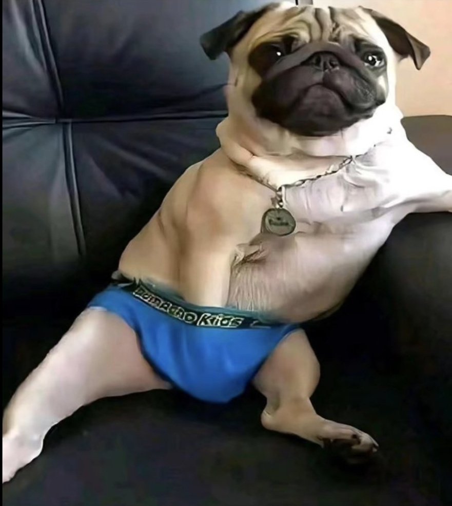 invito a una fémina

mi padre en el salón :