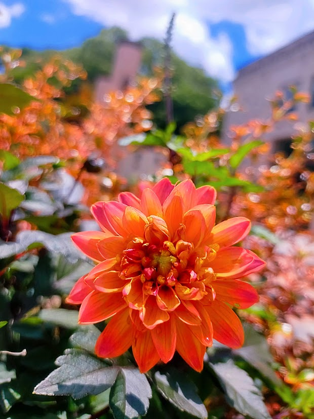 おはようございます🌈📸