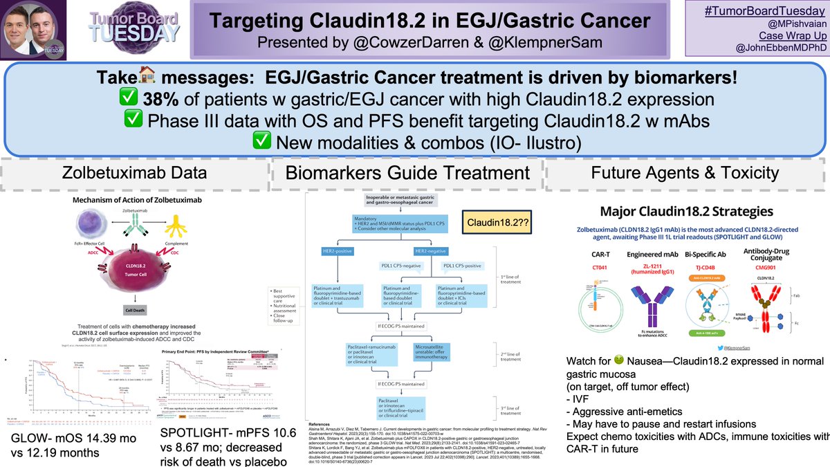 TumorBoardTues's tweet image. 1/7 🧵#TumorBoardTuesday

EGJ/Gastric cancer treatment is  increasingly driven by BIOMARKERS. Targeting Claudin18.2 coming soon. 

What do GI oncologists need to know?

Check out the  case wrap: @CowzerDarren @KlempnerSam review latest info on Claudin 🎯 #GastricCancer #EGJ