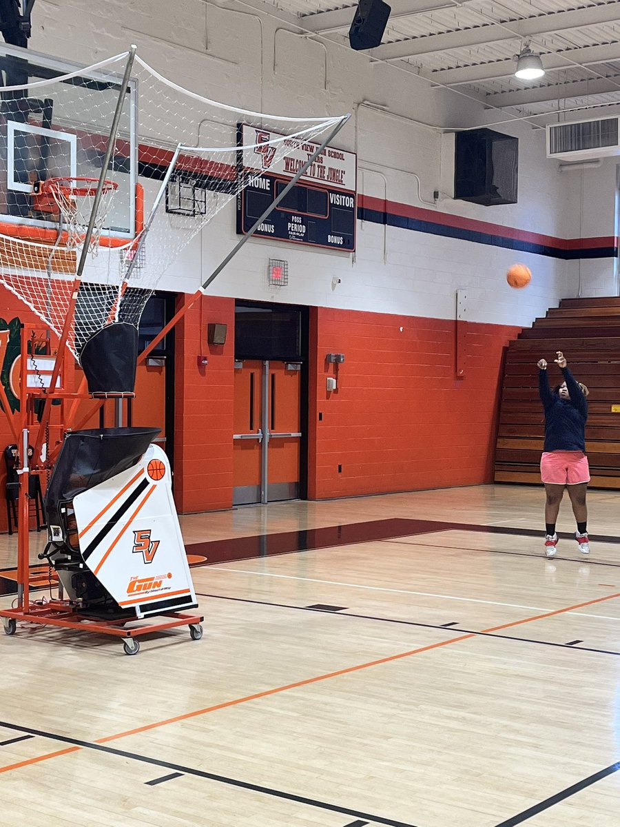 South View Lady Tigers Basketball tweet media