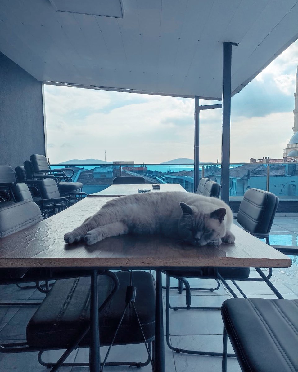 bu havada en güzeliii