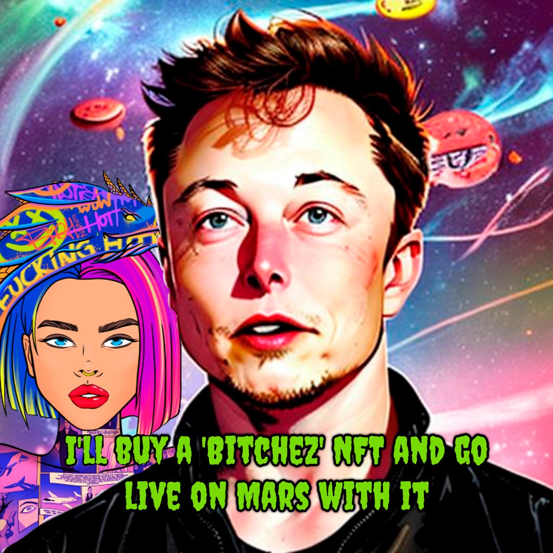 rimtoln's tweet photo. Even Ilon Musk wants to buy nft from @BitchezNFT  what about you?  #Meme #X #Bitchez https://t.co/eBZIdGJ2XN