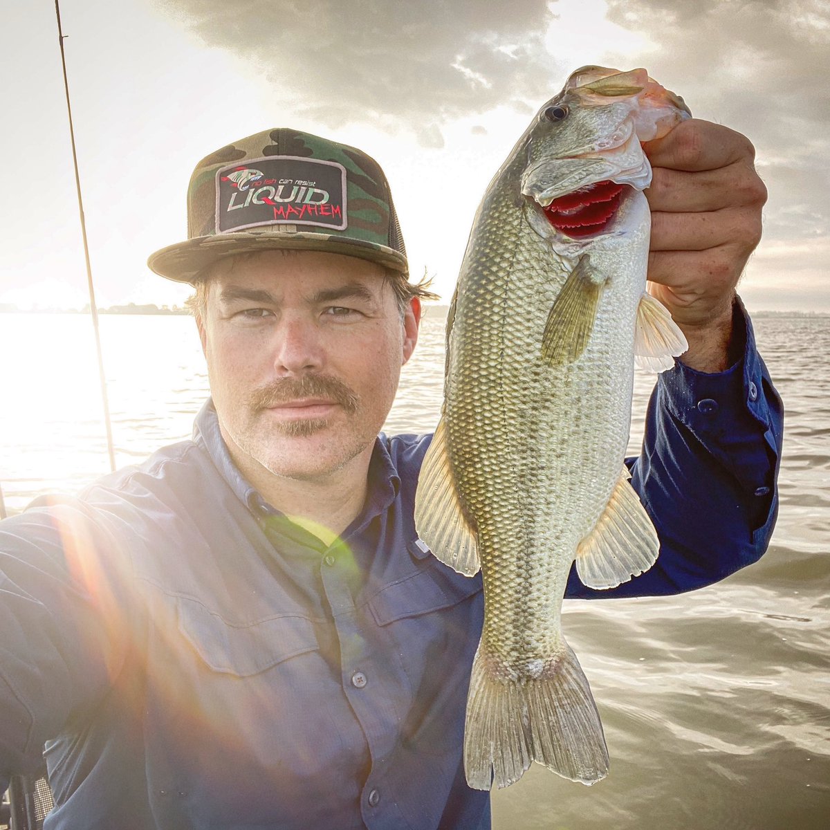 Liquid Mayhem tweet media