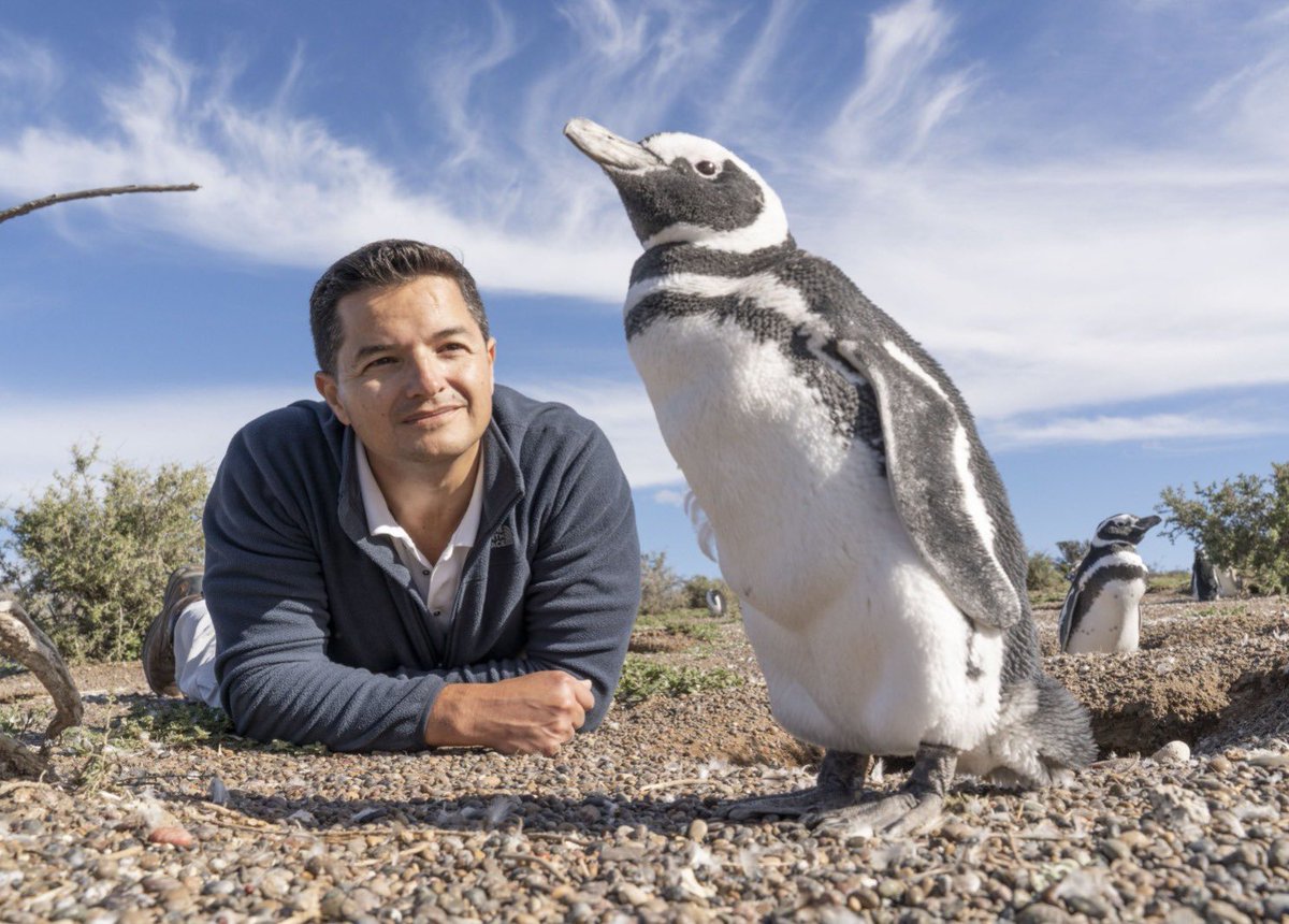 ¡Felicitaciones, Popi! 🐧 🙌 El Dr. Pablo García Borboroglu fue elegido ganador del Premio de Indianápolis, por su trabajo en la conservación de pingüinos y su hábitat. El @IndyPrize es llamado el Nobel de la conservación, por tratarse del galardón más importante de su…