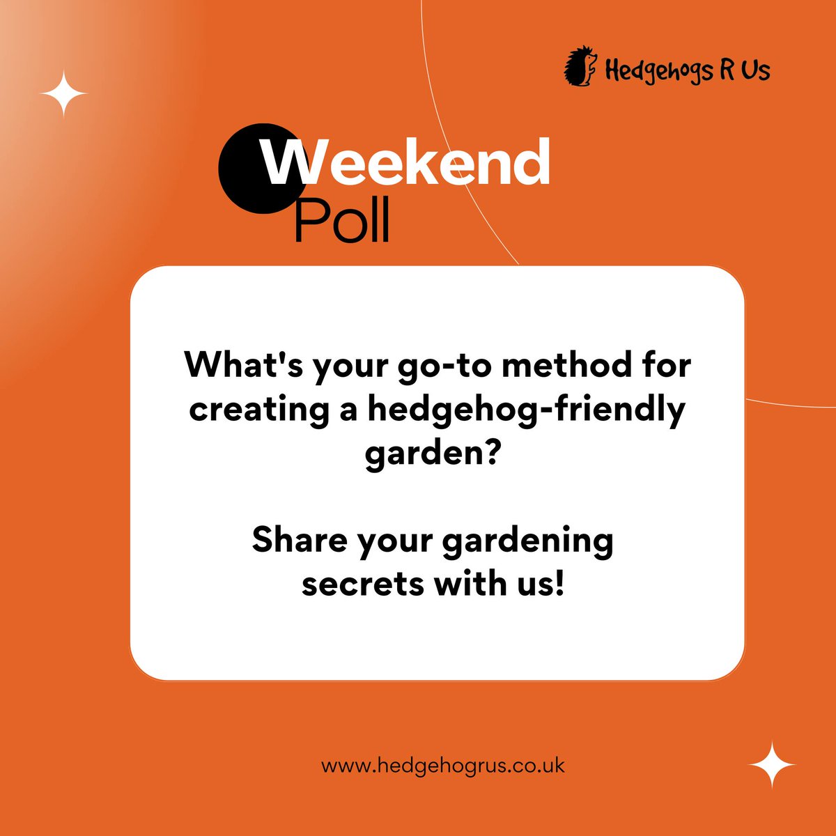 Hedgehogs R Us tweet media