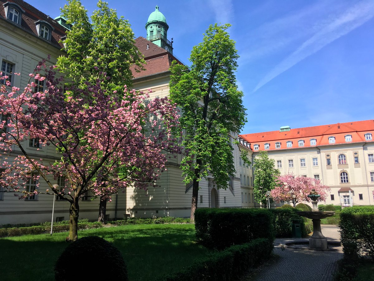 Livius Penter (@livius_tacitus) on Twitter photo What's next? I am looking forward to start a lab at <a href="/ChariteBerlin/">Charité - Universitätsmedizin Berlin</a> in the department of Lars Bullinger supported by <a href="/Krebshilfe_Bonn/">Deutsche Krebshilfe</a> and @berlinnovation - more details to follow soon :).
Looking forward to many more projects and collaborations.
penterlab.org
/end What's next? I am looking forward to start a lab at <a href="/ChariteBerlin/">Charité - Universitätsmedizin Berlin</a> in the department of Lars Bullinger supported by <a href="/Krebshilfe_Bonn/">Deutsche Krebshilfe</a> and @berlinnovation - more details to follow soon :).
Looking forward to many more projects and collaborations.
penterlab.org
/end