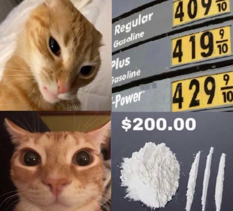 ShitpostGateway (@shitpostgate) on Twitter photo 