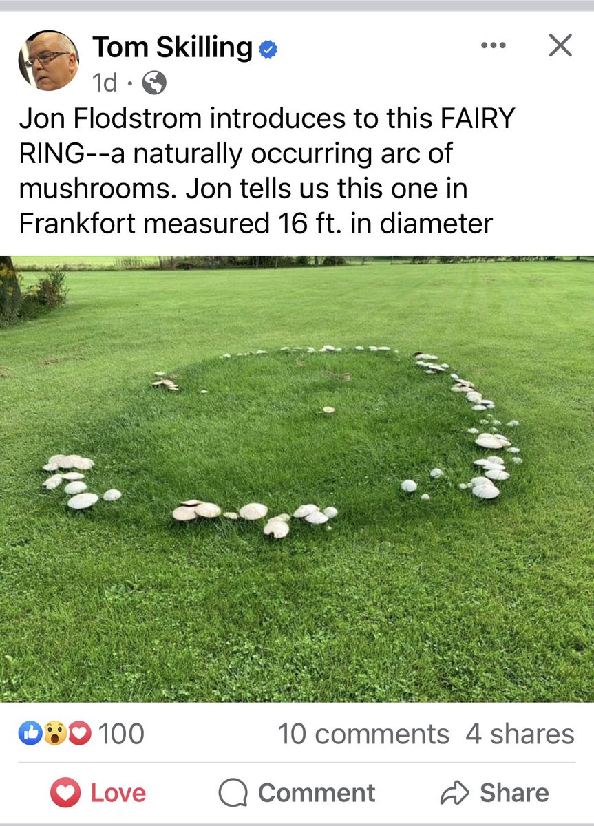 turfdom's tweet image. Frisky Fairy Ring Friday! (belated) Chicago’s main top gun weatherman just gave fairy ring a nice note. It happened on a Friday/yesterday. #BAM #Type3 @MikeFidanza @hcwetzel3 @purdueturfpath @RandallKane1