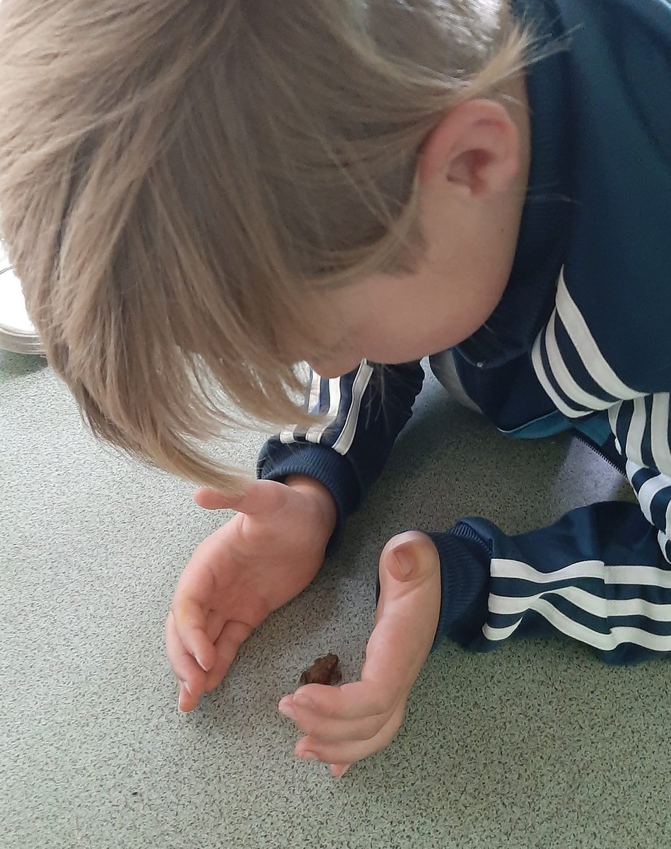 FiFi's Vision C.I.C tweet media