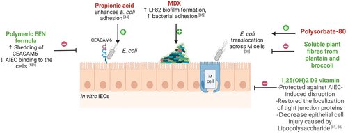 A Western diet (⬆️fat, animal products, sugar, additives) affects adherent-invasive E.coli behavior in the gut, ▶️inflammation that drives inflammatory bowel disease while a Mediterranean diet (⬆️ fiber, fruits, vegetables, polyphenols) is protective 

onlinelibrary.wiley.com/doi/10.1111/ap…