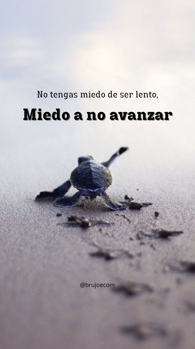 Brujo 🏛️ (@brujoecom) on Twitter photo 