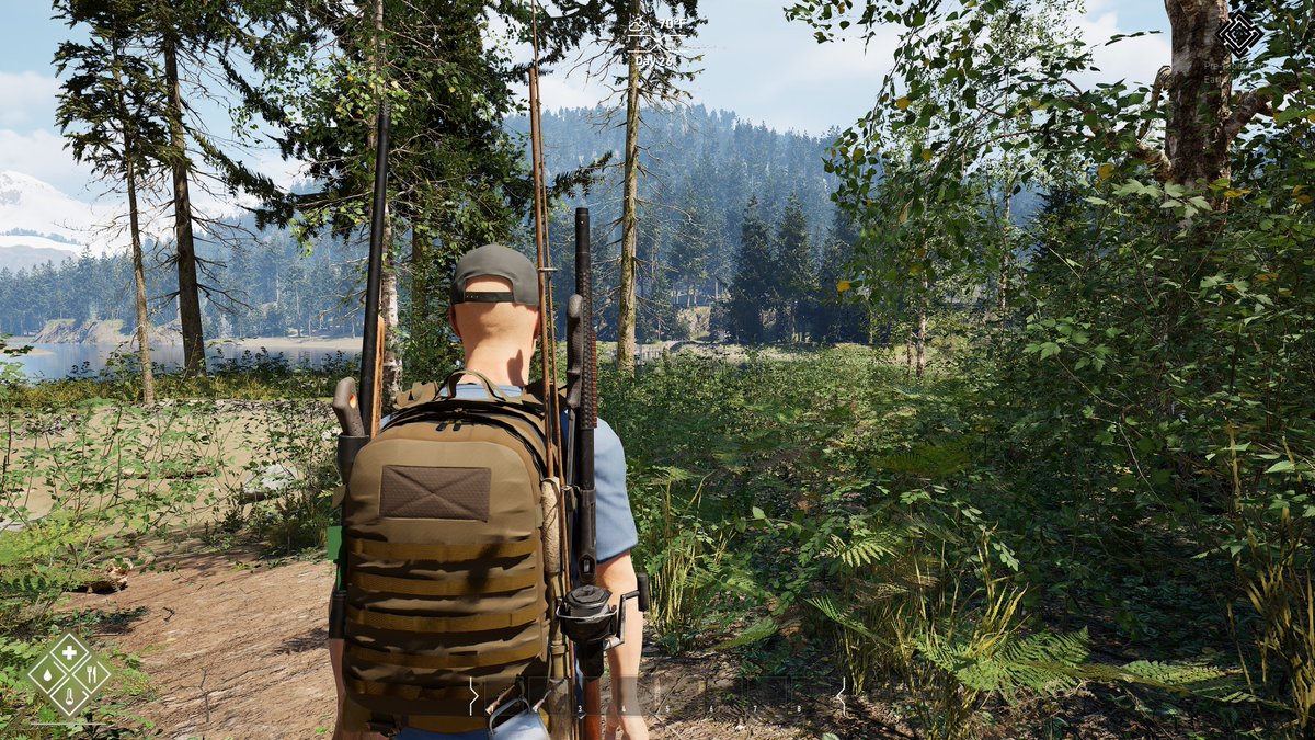 The Gold River Project tweet media