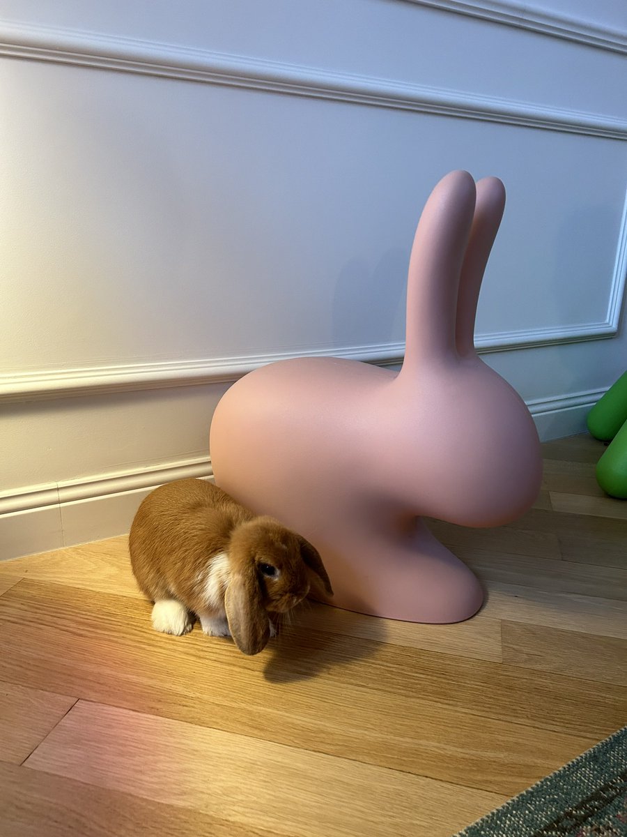 Rabbits everywhere.
Cc <a href="/qeeboo_official/">Qeeboo</a>