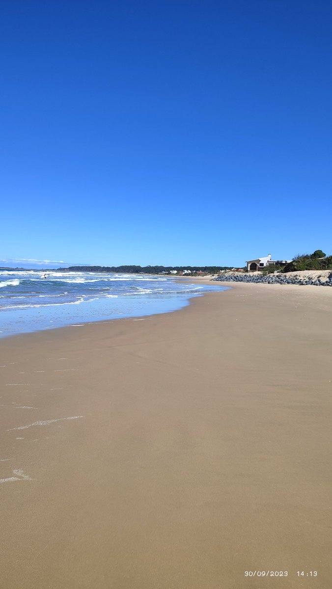 elisa_corazza's tweet photo. Comenzó el día con nubes y a mediodía quedó así....muy amigable, cielo despejado, sol a pleno y oleaje cadencioso! 🌊☀️🏖️🌞
Costa Azul , Rocha @TurismoRocha @MAmbienteuy @Uruguay_Natural @ElAtlanteRevist @MarcaUruguay https://t.co/EJvSvPteZY