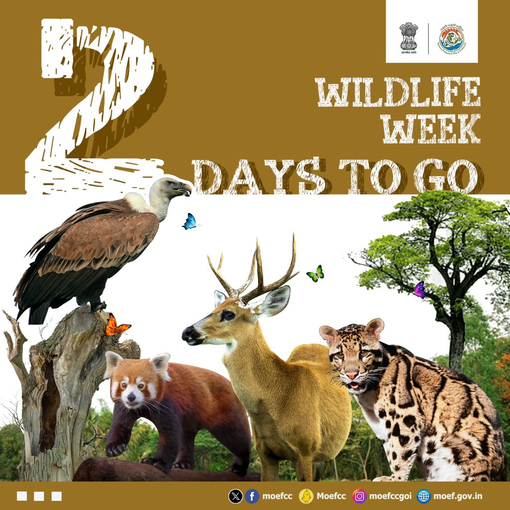 2 Days To Go.. #WildlifeWeek
