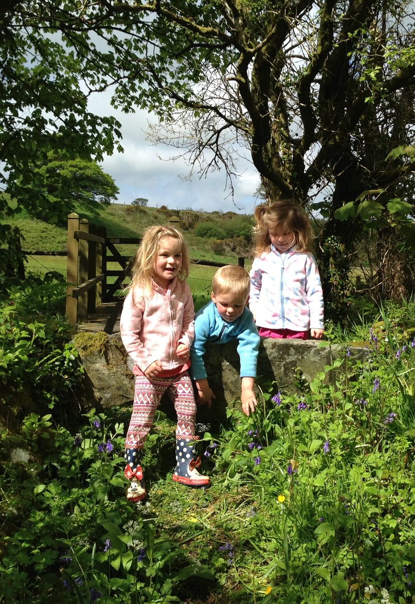 St. Tinney Farm Holidays tweet media