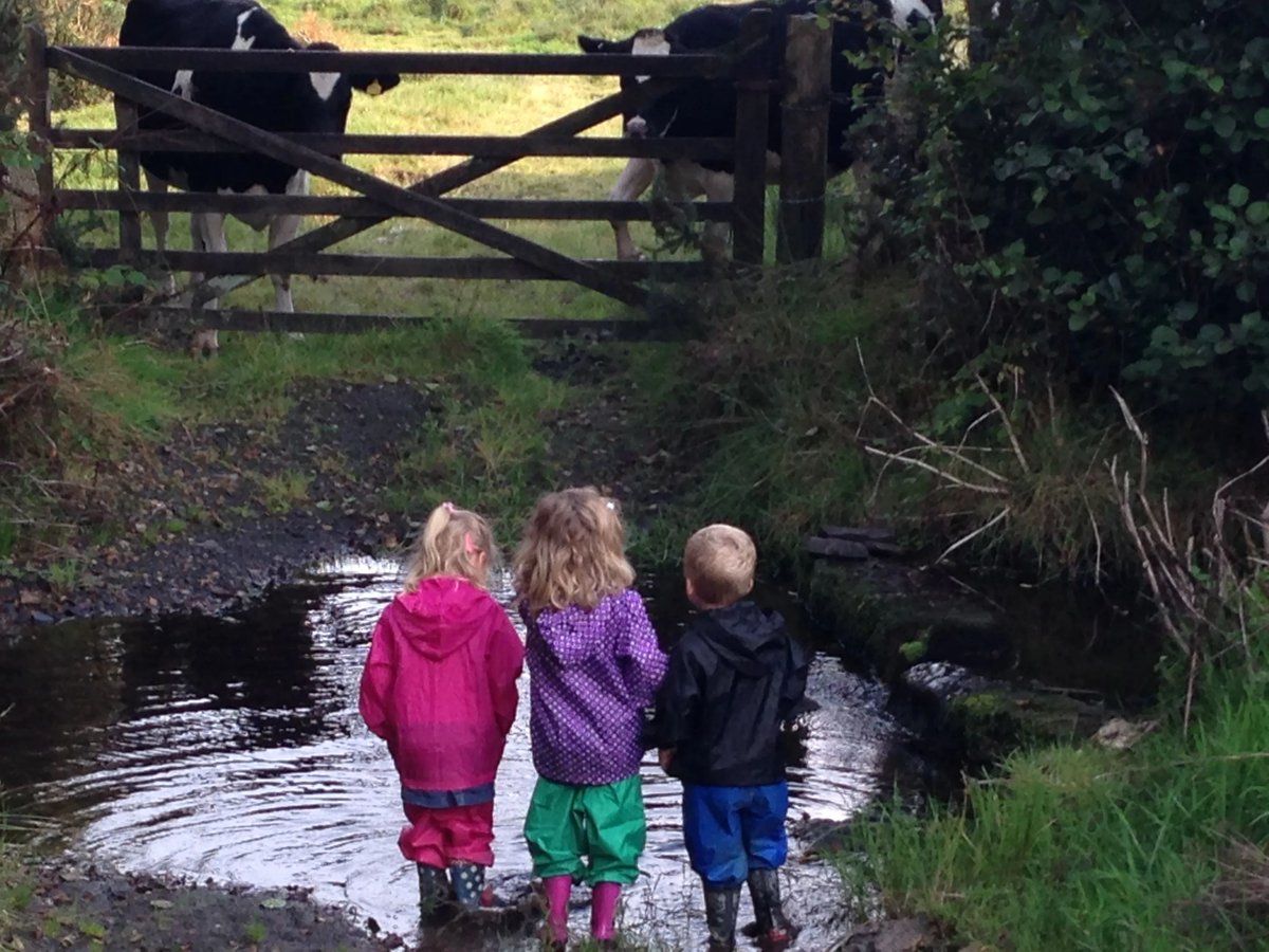 St. Tinney Farm Holidays tweet media