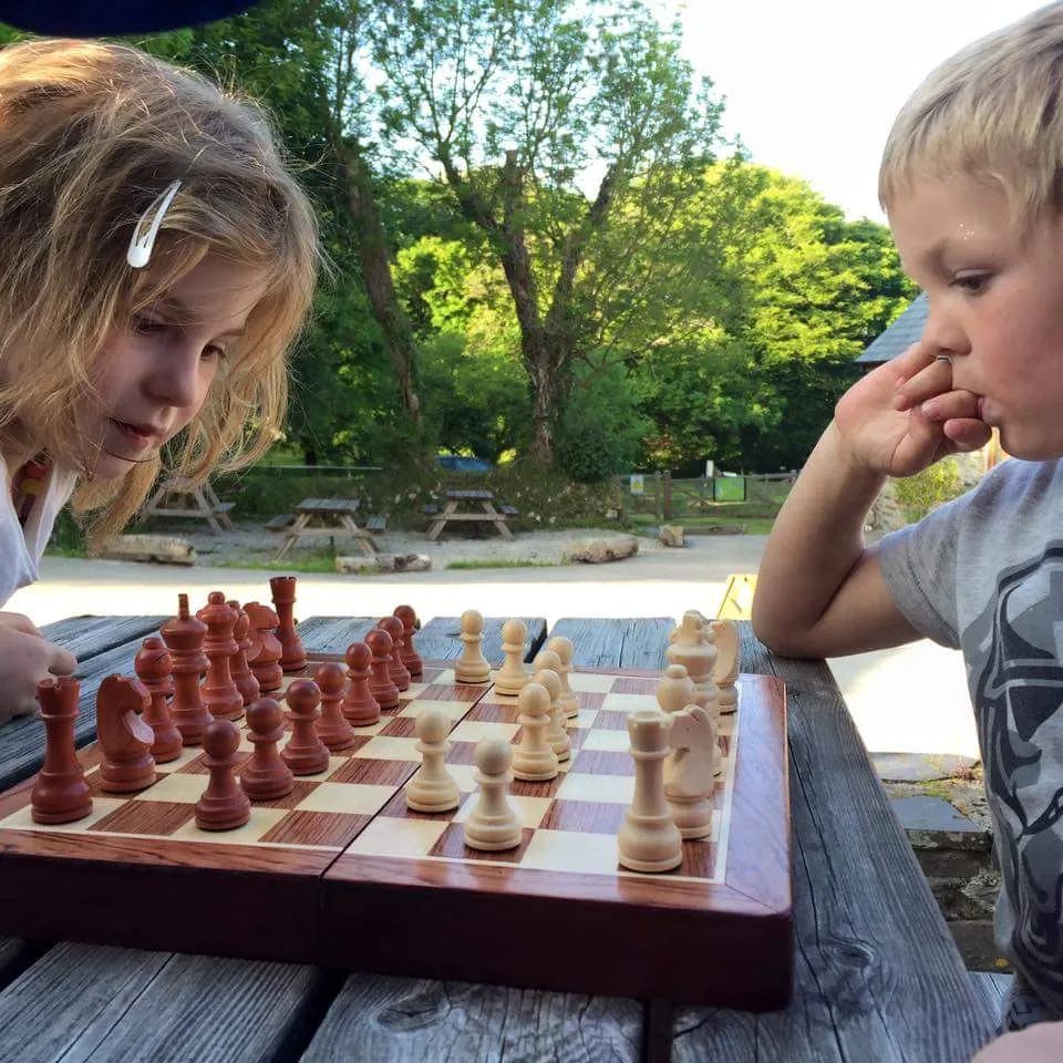 St. Tinney Farm Holidays tweet media