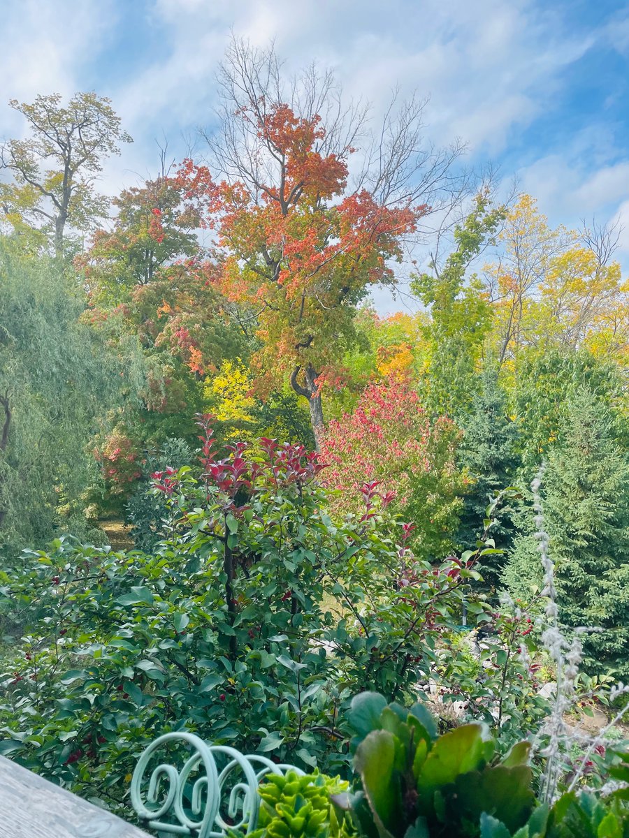 DEM_Worldwide's tweet image. Be Blessed!
Jesus said…‘Whosoever shall receive one of such children in my name, receives me; and whosoever shall receive me, receives not me, but him that sent me’ #Mark9  #Willtofight #UNHACKABLE #anointed #saved  #muscleman #autumnleaves #invincible #Glorified #Powergospel