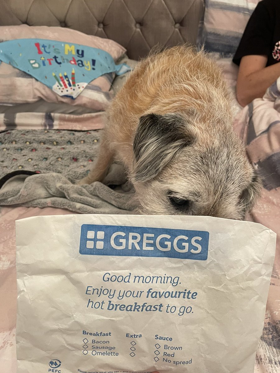 no1border's tweet image. Thanks fur all my burfday messages pals😀 I have had a great day starting with a greggs so I was off too a winner whatever happened 😂