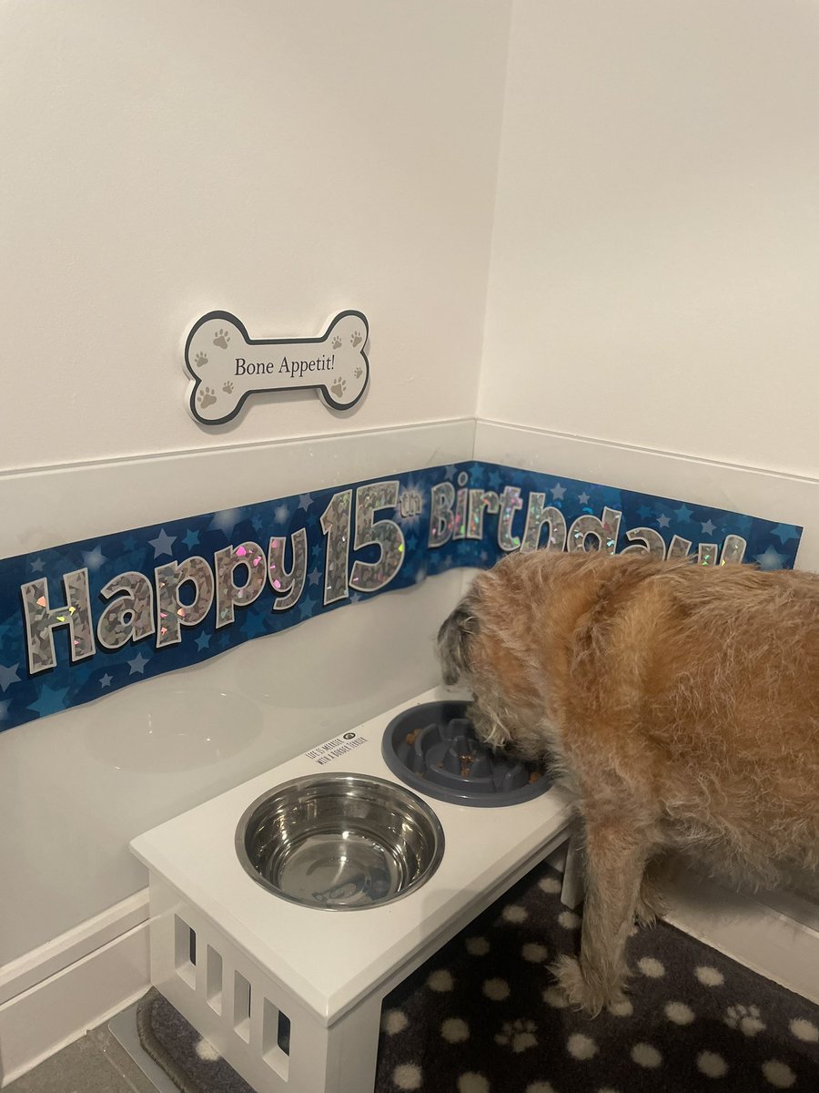 no1border's tweet image. Thanks fur all my burfday messages pals😀 I have had a great day starting with a greggs so I was off too a winner whatever happened 😂