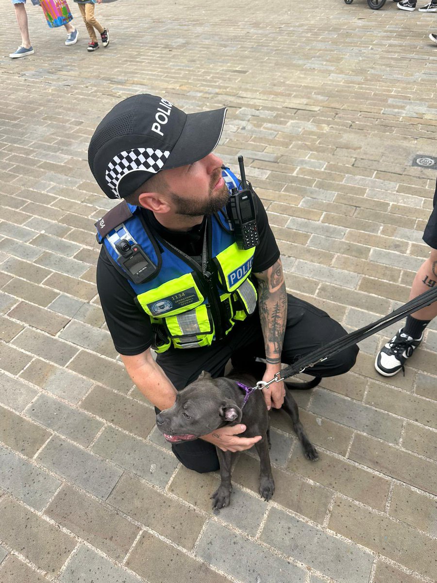 Cambs Rural Cops 🚜🚮🏰🦊🦇 tweet media