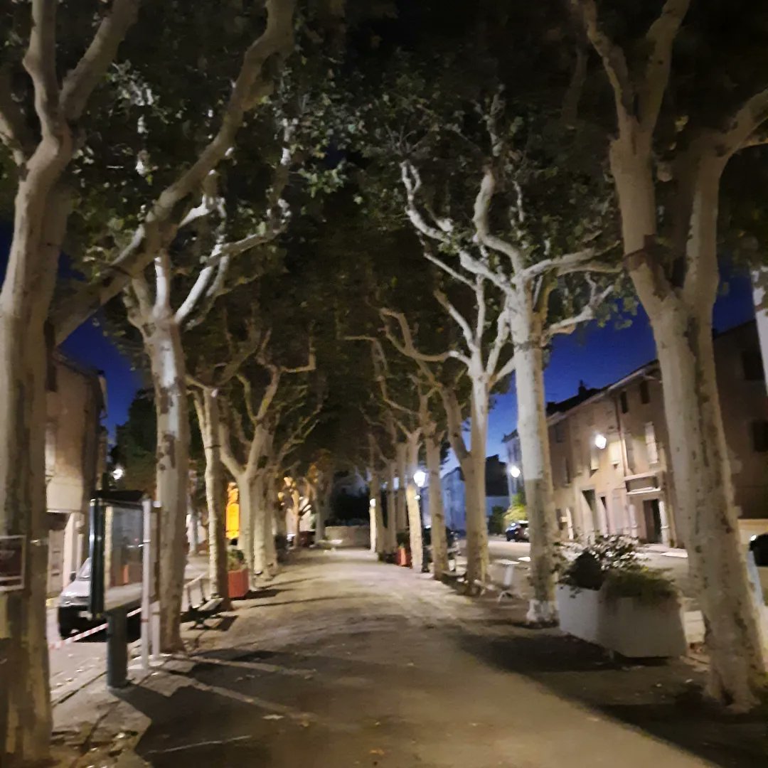 MagnoliaFrance's tweet image. Another lovely day. A stroll through the village this evening temperature 25c. Just missed the sunset. #Azille #Aude