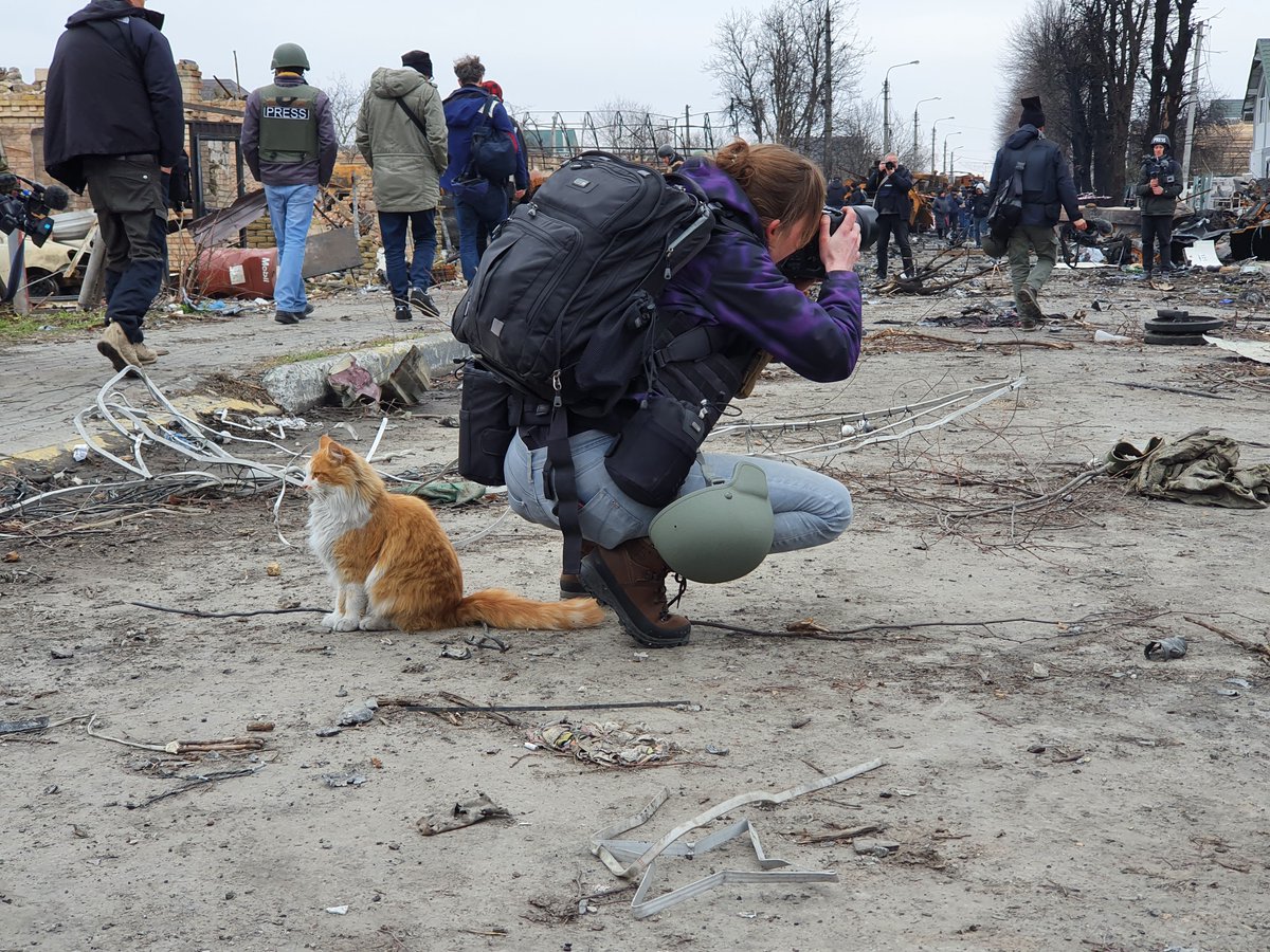 IgorKossov's tweet image. I wish I knew who this journalist in Borodyanka was in April 2022 so I could show &apos;em the cat coordination. Buy then I picked up my own cat and forgot all about it for like a year and a half.