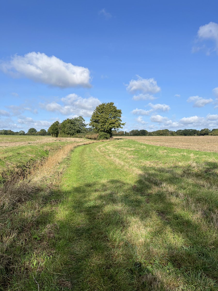 Landscape History (@uea_landscape) on Twitter photo A super afternoon exploring the historic footpaths and lanes of south Norfolk with the excellent crew from <a href="/Waveney_Arch/">Waveney Archaeology</a> 💖🥾🥾 A super afternoon exploring the historic footpaths and lanes of south Norfolk with the excellent crew from <a href="/Waveney_Arch/">Waveney Archaeology</a> 💖🥾🥾