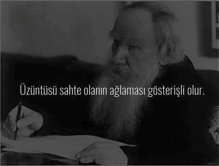 ZaimogluAyhan's tweet photo. https://t.co/yTM06jFBdK