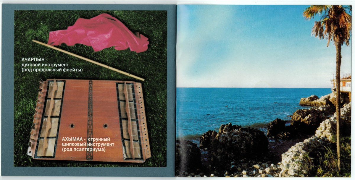 The True Caucasians tweet media