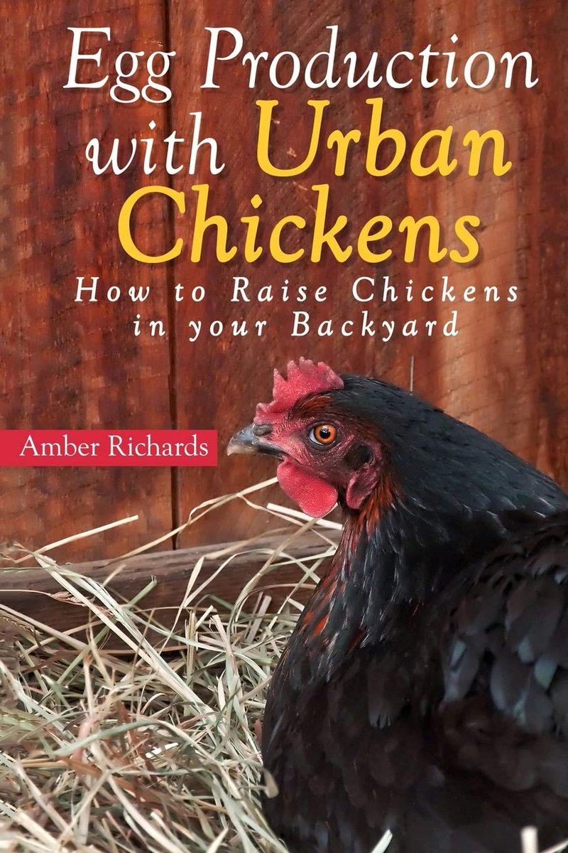 #Book #Egg Production with Urban #Chickens #Howto Raise #Chickens in Your #Backyard #RaisingChickens #BackyardChickens #BookLovers #BookRecommendation #SaveMoney
amazon.com/Egg-Production…