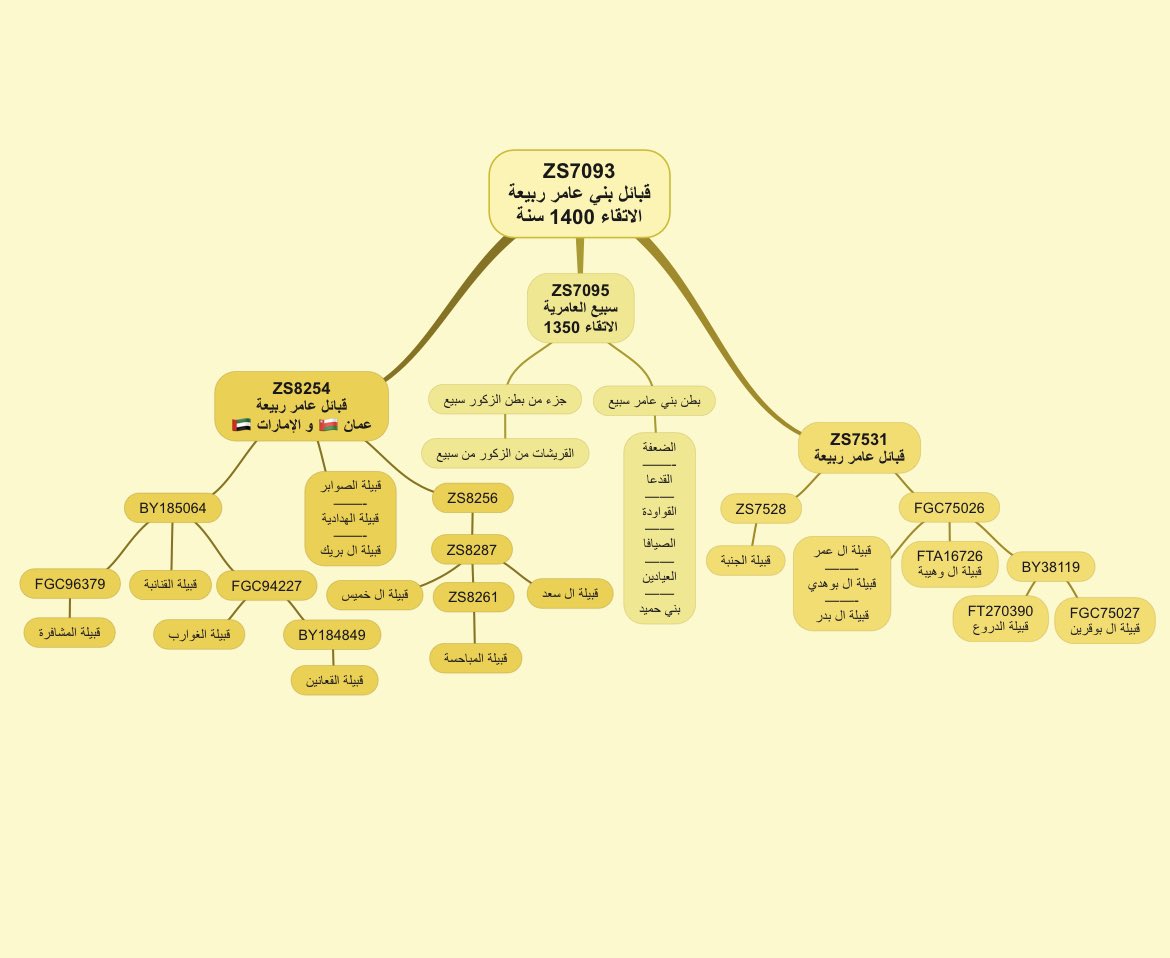 مشجرة تحور قبائل عامر ربيعة ZS7093👑

#FGC2
#ZS7093