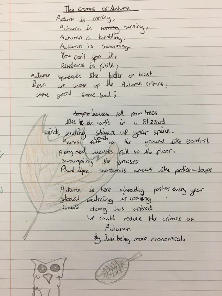 Wellow House School tweet media