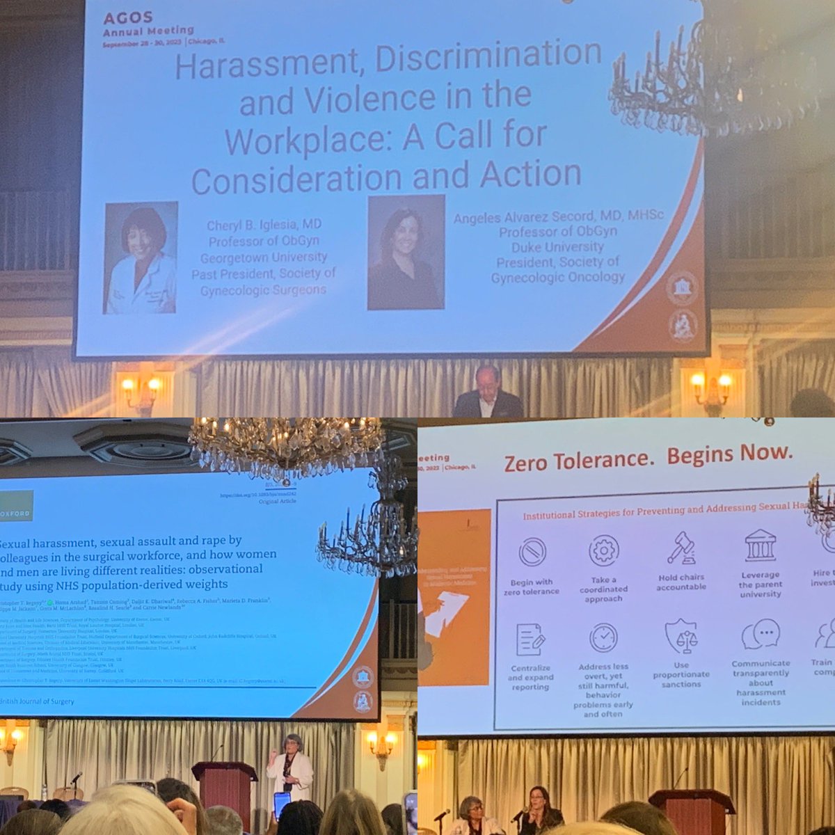 drjeanniekim's tweet photo. Thank you Drs @cheryliglesia and @AngelesSecord  for addressing this important topic to #endsexualharassment #AGOS2023 #AGOS https://t.co/xnveA6UMFv