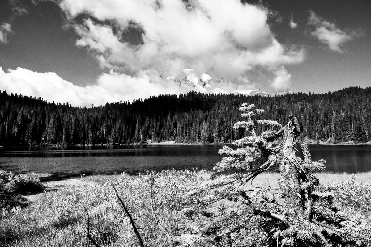 KenStJohn1's tweet photo. Mt Rainier, peeking in and out of the clouds, at Reflection Lake.

#blackandwhitephotography https://t.co/bXoccI5dKM