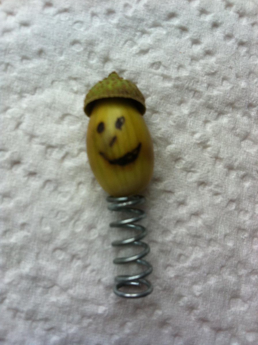 pickleford's tweet photo. https://t.co/xthFjADwGy