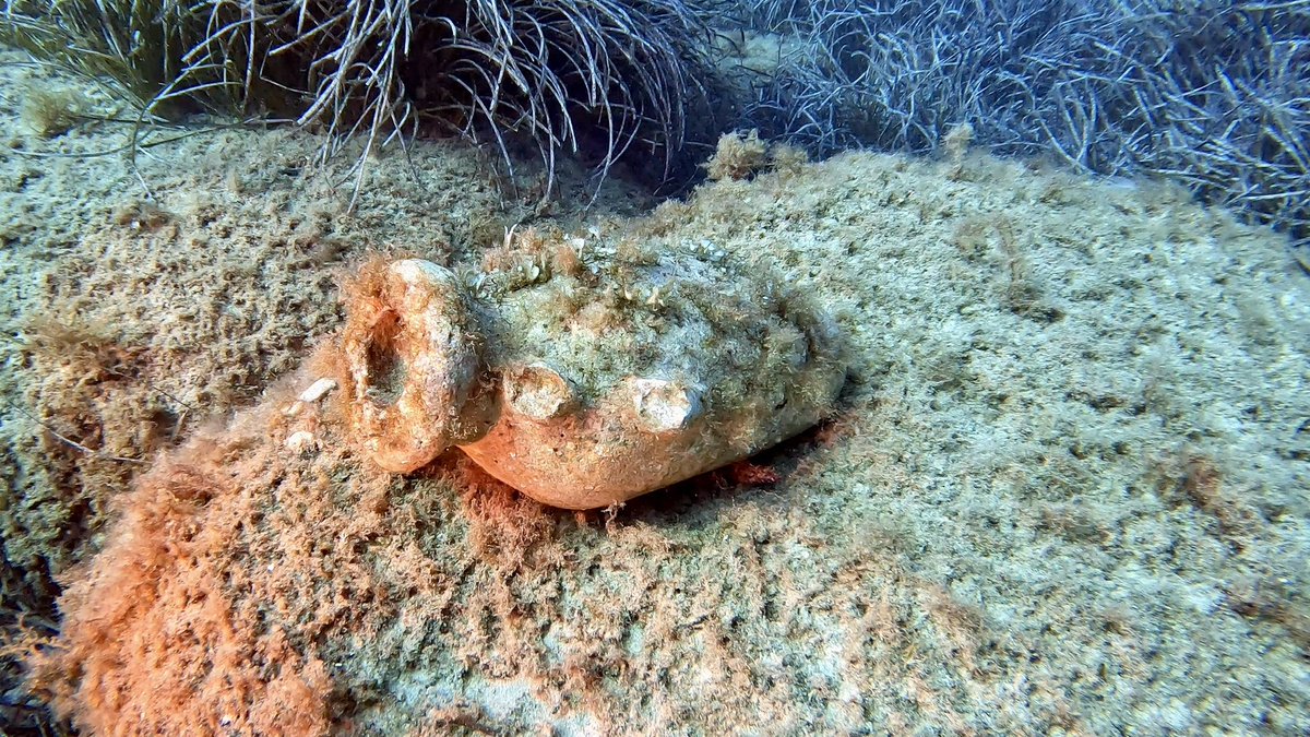 urinantes's tweet photo. From diving a 17th century Dutch warship on an archaeological site last week to a smattering of concrete amphora in the sea grass today. Alas check dive done and with more muckers arriving tomorrow, here’s to some good diving on Malta and Gozo during the next two weeks. https://t.co/LjgJN2PnVK