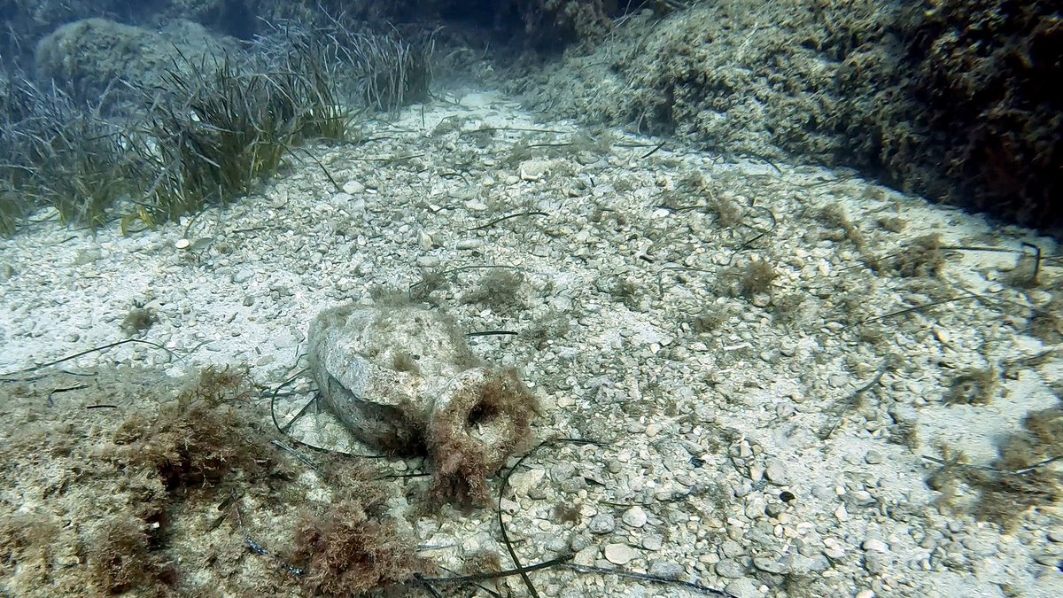 urinantes's tweet photo. From diving a 17th century Dutch warship on an archaeological site last week to a smattering of concrete amphora in the sea grass today. Alas check dive done and with more muckers arriving tomorrow, here’s to some good diving on Malta and Gozo during the next two weeks. https://t.co/LjgJN2PnVK